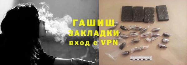 шишки Гусиноозёрск