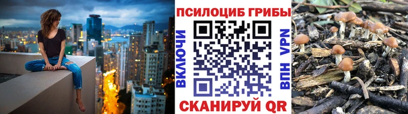 Галлюциногенные грибы мицелий  mega вход  сайты даркнета телеграм  Коммунар 