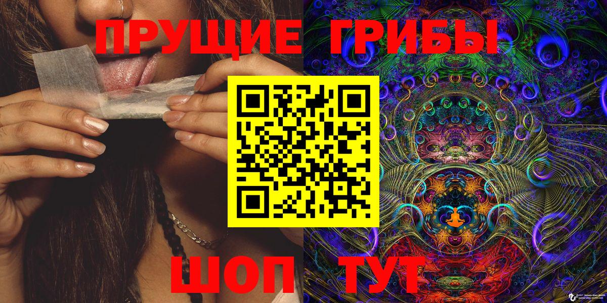 Коммунар  Псилоцибиновые грибы прущие грибы  Вход с VPN 