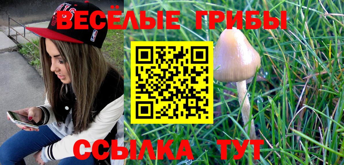 Галлюциногенные грибы Cubensis  Коммунар  Галлюциногенные грибы Magic Shrooms 